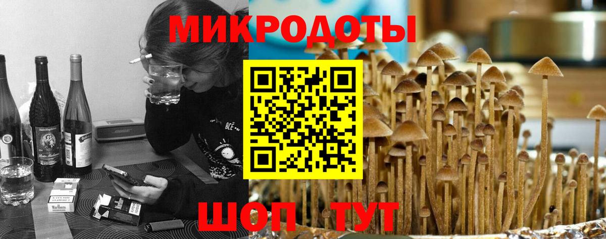 сколько стоит  Вход с VPN  Черняховск  Псилоцибиновые грибы Psilocybe 
